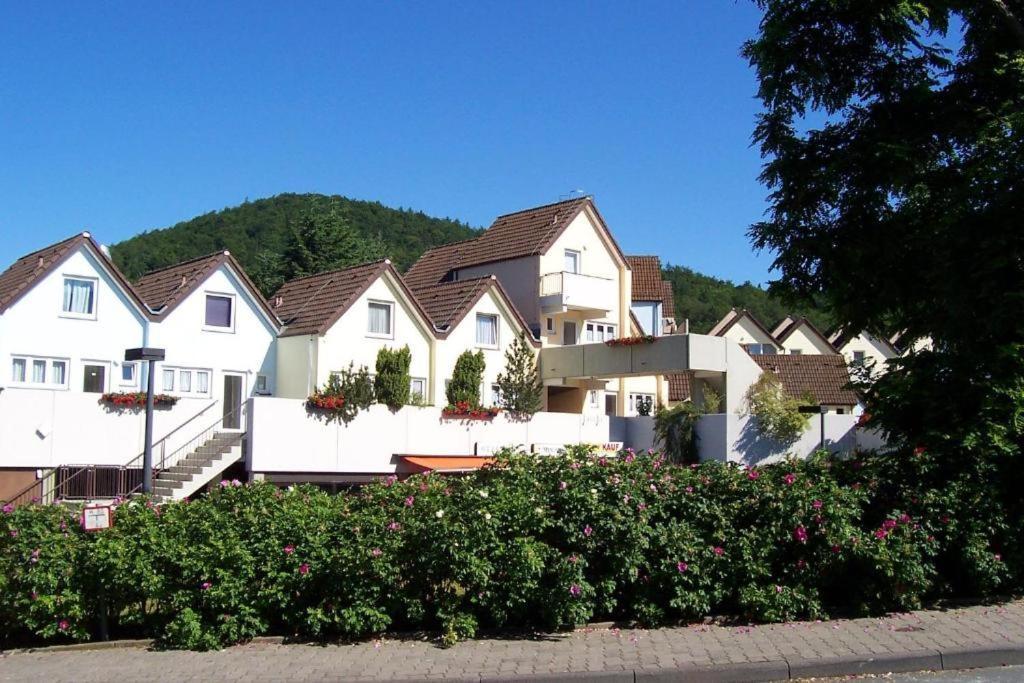 Helle 93M2 Fewo Mit 2 Schlafzimmern Am Edersee Scheid  المظهر الخارجي الصورة